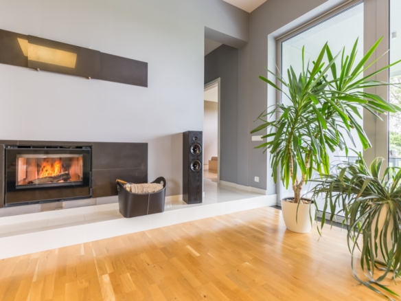 Gorgeous apartment bay front
